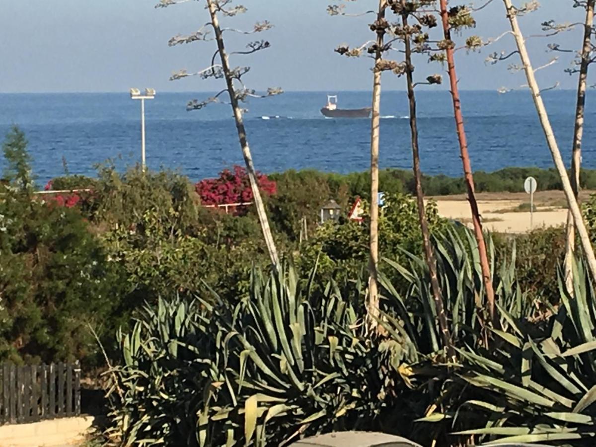 דירות Paphos Diamond Complex מראה חיצוני תמונה
