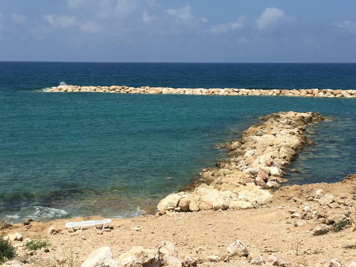 דירות Paphos Diamond Complex מראה חיצוני תמונה